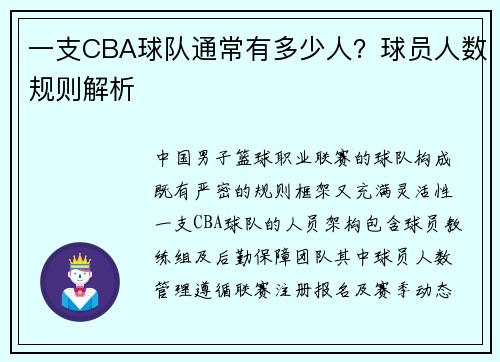 一支CBA球队通常有多少人？球员人数规则解析